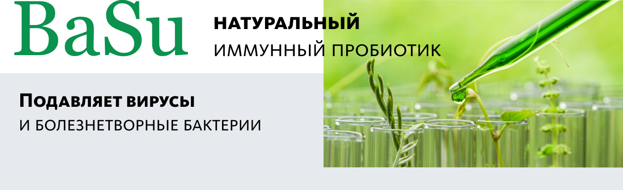 Главная страница